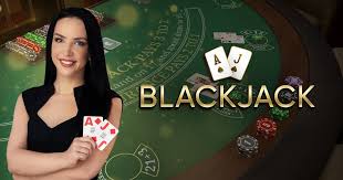 Blackjack Pelican Casino